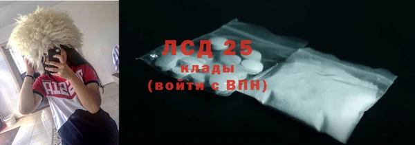 стафф Алзамай
