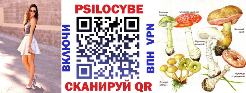 shop клад  где купить наркоту  mega как зайти  Котлас  Псилоцибиновые грибы ЛСД 