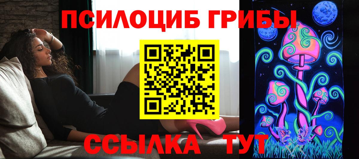 Псилоцибиновые грибы мухоморы Котлас