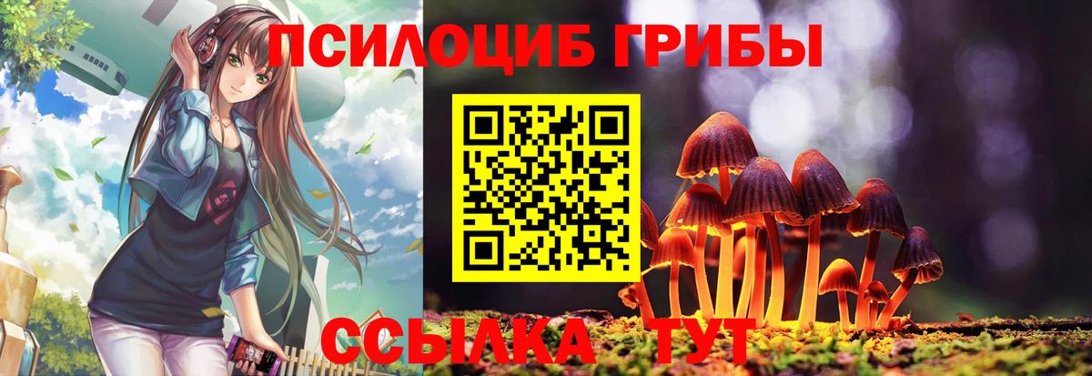 Котлас  цены   Вход с VPN  Галлюциногенные грибы Psilocybine cubensis 